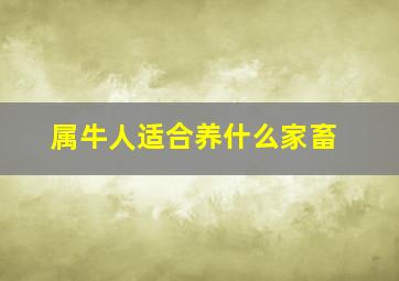 属牛人适合养什么家畜