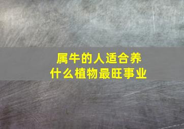 属牛的人适合养什么植物最旺事业