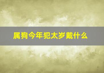 属狗今年犯太岁戴什么