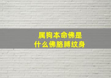 属狗本命佛是什么佛胳膊纹身