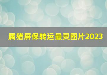 属猪屏保转运最灵图片2023