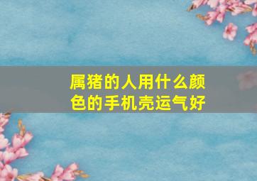 属猪的人用什么颜色的手机壳运气好