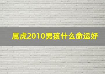 属虎2010男孩什么命运好