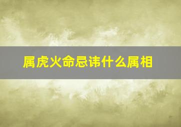 属虎火命忌讳什么属相