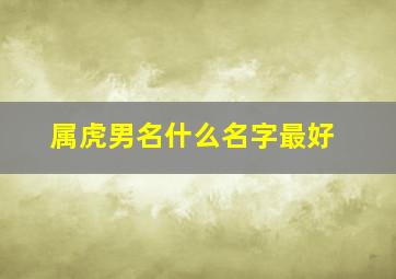 属虎男名什么名字最好