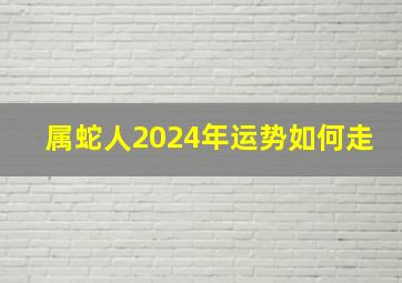 属蛇人2024年运势如何走