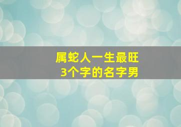 属蛇人一生最旺3个字的名字男