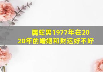 属蛇男1977年在2020年的婚姻和财运好不好