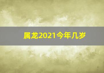 属龙2021今年几岁