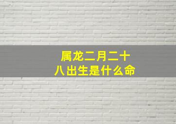 属龙二月二十八出生是什么命