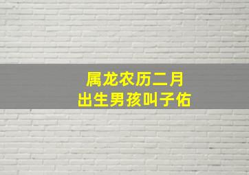 属龙农历二月出生男孩叫子佑