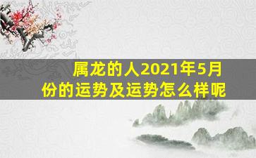 属龙的人2021年5月份的运势及运势怎么样呢