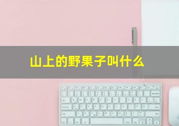 山上的野果子叫什么