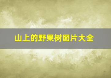 山上的野果树图片大全