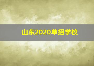 山东2020单招学校