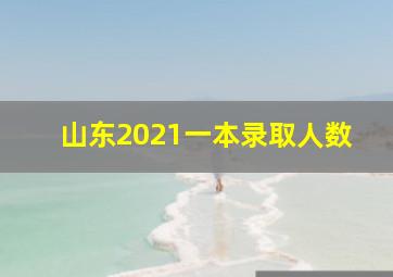 山东2021一本录取人数