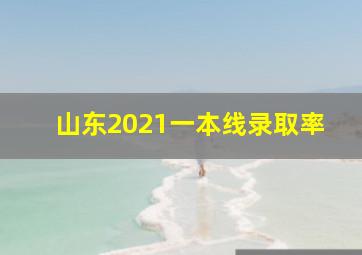 山东2021一本线录取率