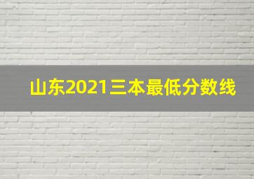 山东2021三本最低分数线