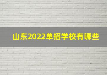 山东2022单招学校有哪些