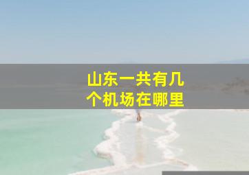 山东一共有几个机场在哪里