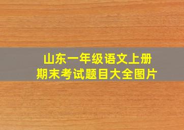 山东一年级语文上册期末考试题目大全图片