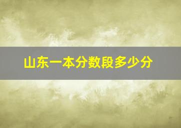 山东一本分数段多少分