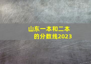 山东一本和二本的分数线2023