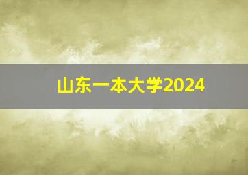 山东一本大学2024