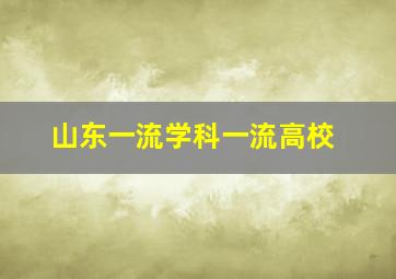 山东一流学科一流高校