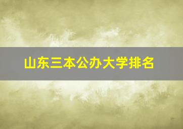 山东三本公办大学排名