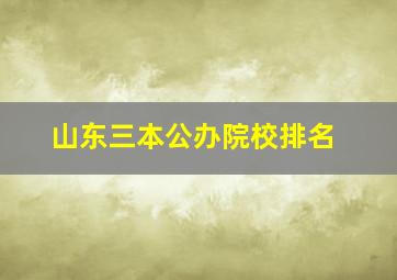 山东三本公办院校排名