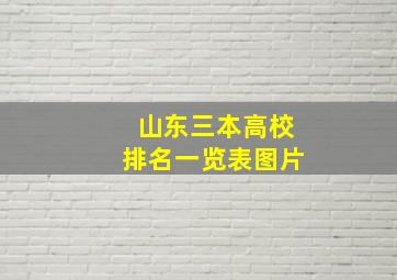 山东三本高校排名一览表图片