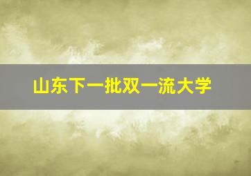 山东下一批双一流大学