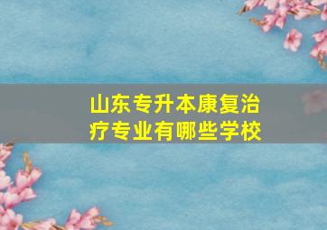 山东专升本康复治疗专业有哪些学校