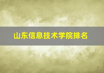 山东信息技术学院排名