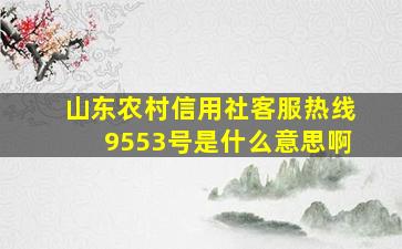 山东农村信用社客服热线9553号是什么意思啊