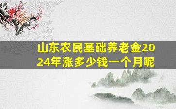 山东农民基础养老金2024年涨多少钱一个月呢