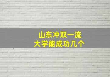 山东冲双一流大学能成功几个