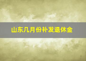 山东几月份补发退休金