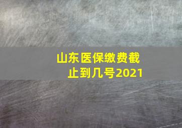 山东医保缴费截止到几号2021