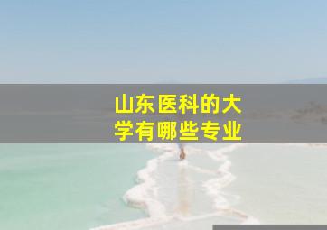 山东医科的大学有哪些专业