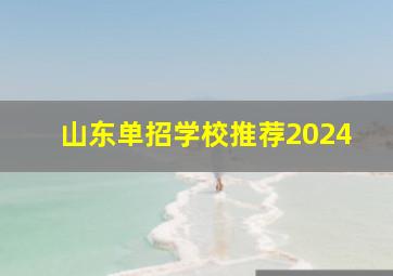 山东单招学校推荐2024