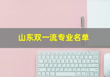 山东双一流专业名单