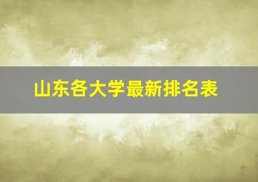 山东各大学最新排名表