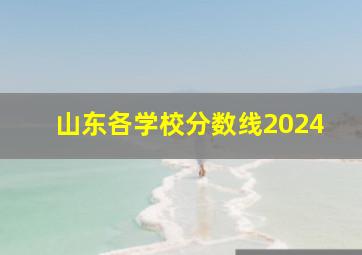 山东各学校分数线2024