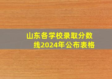 山东各学校录取分数线2024年公布表格