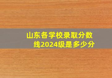 山东各学校录取分数线2024级是多少分