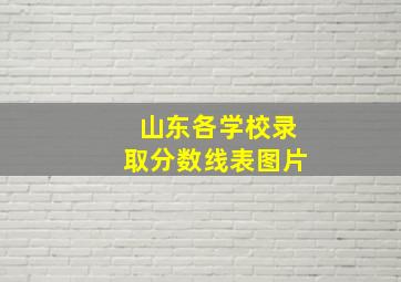 山东各学校录取分数线表图片