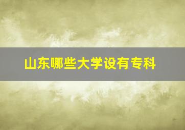 山东哪些大学设有专科