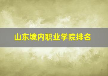 山东境内职业学院排名